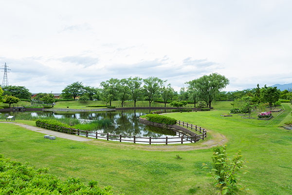 水辺の公園