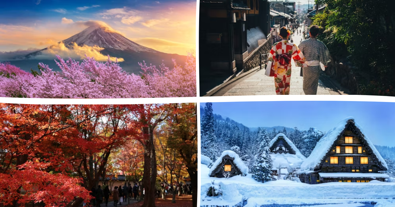 University of Aizu campus