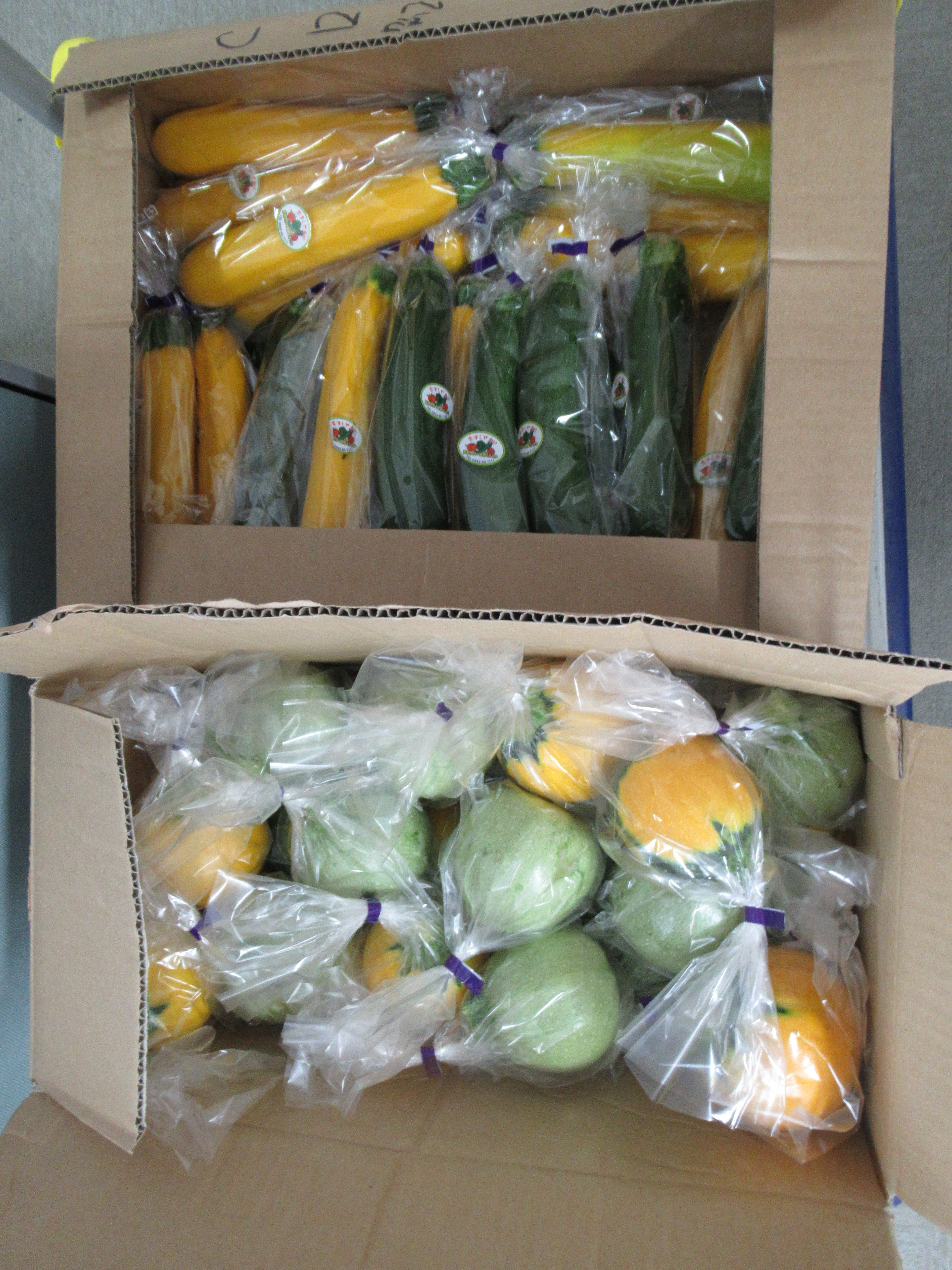 Takahashi-san donated vegetable (zucchini) and money to the international students