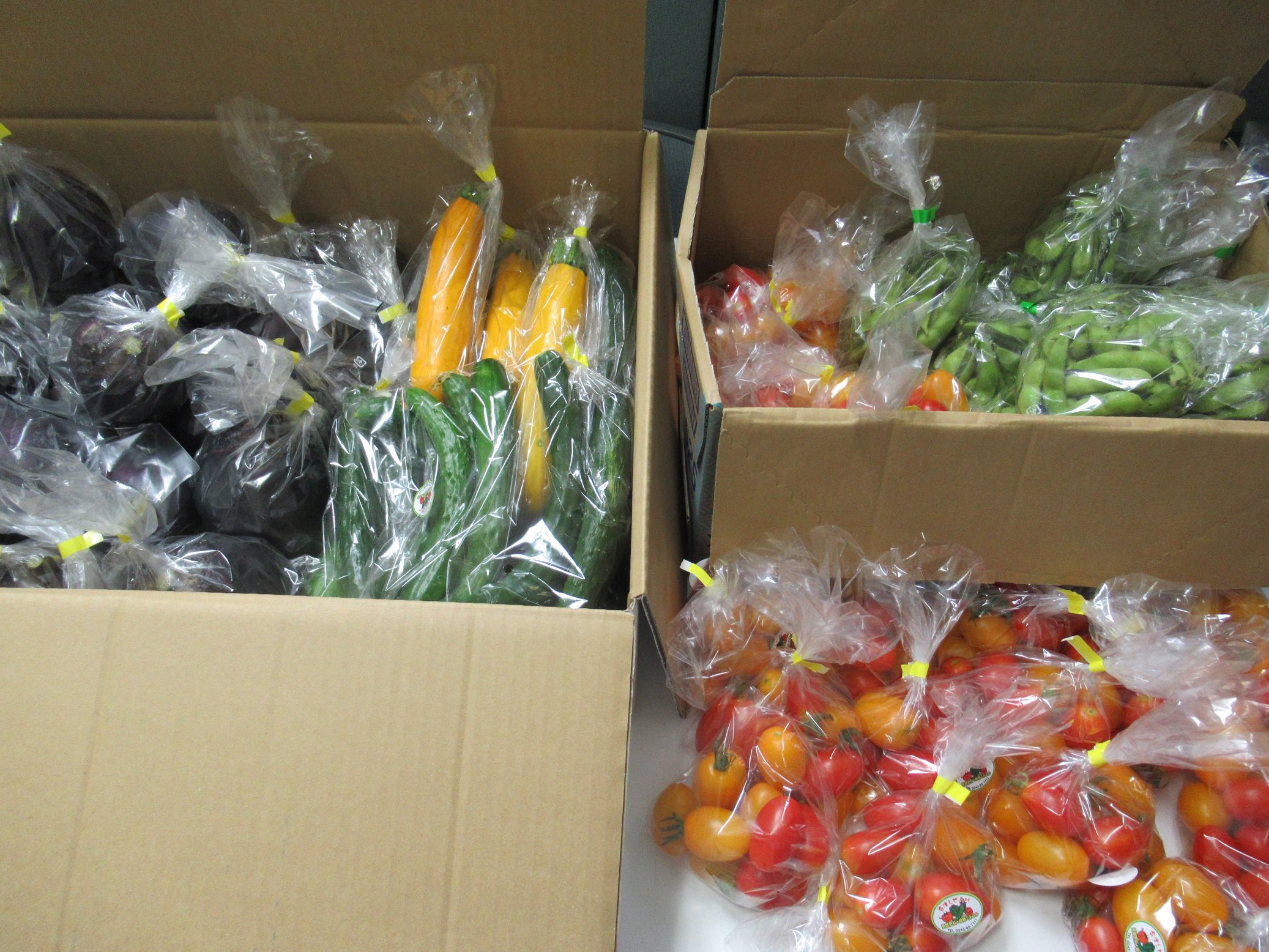 MS. Takahashi donated vegetables (mini-tomato, cucumber, zucchini, eggplant and green soybeans)  to the international students