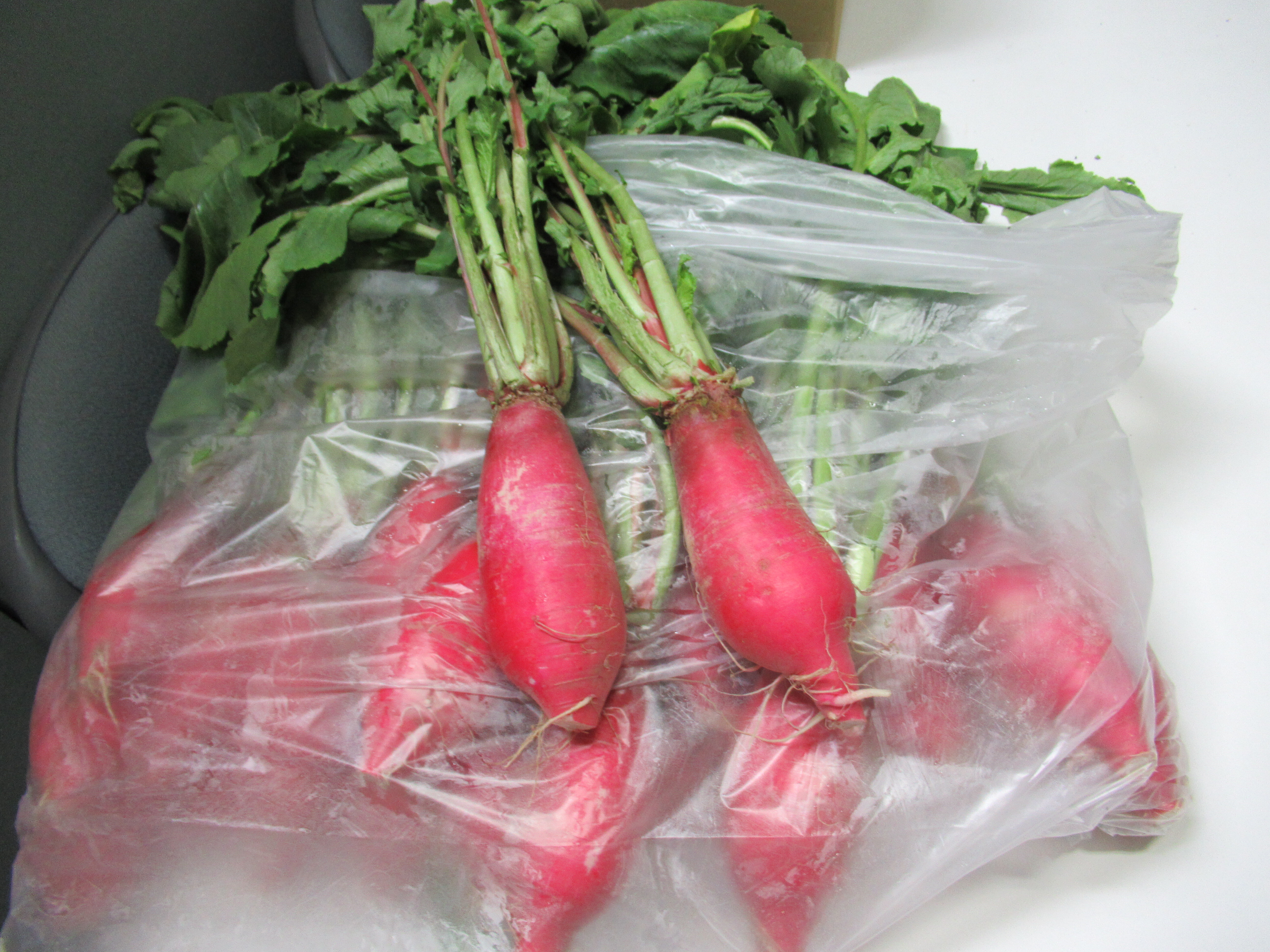 MS. Takahashi donated vegetables(radish) to the international students