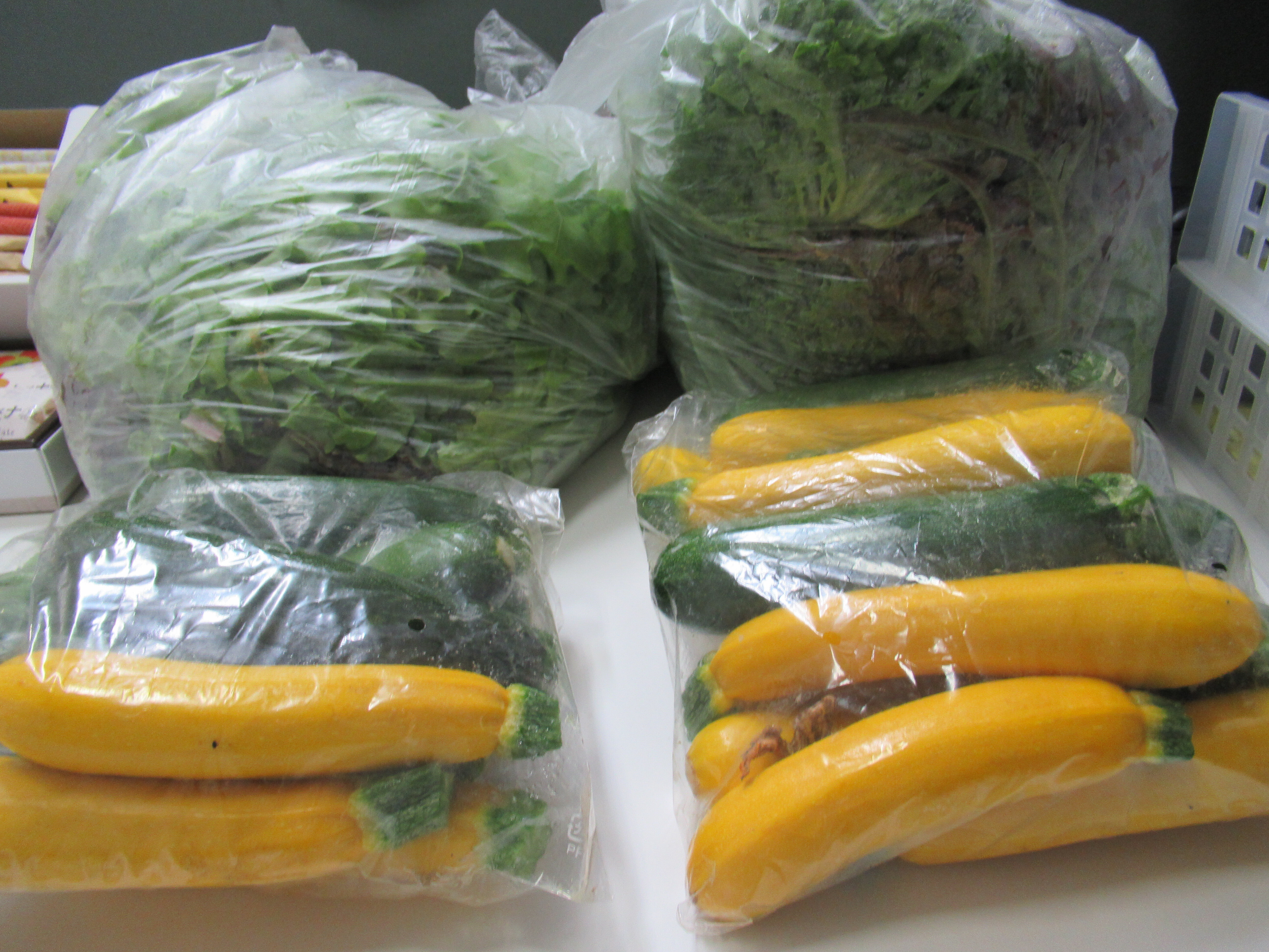 MS. Takahashi donated vegetables(Leaf Lettuce & Zucchini) to the international students