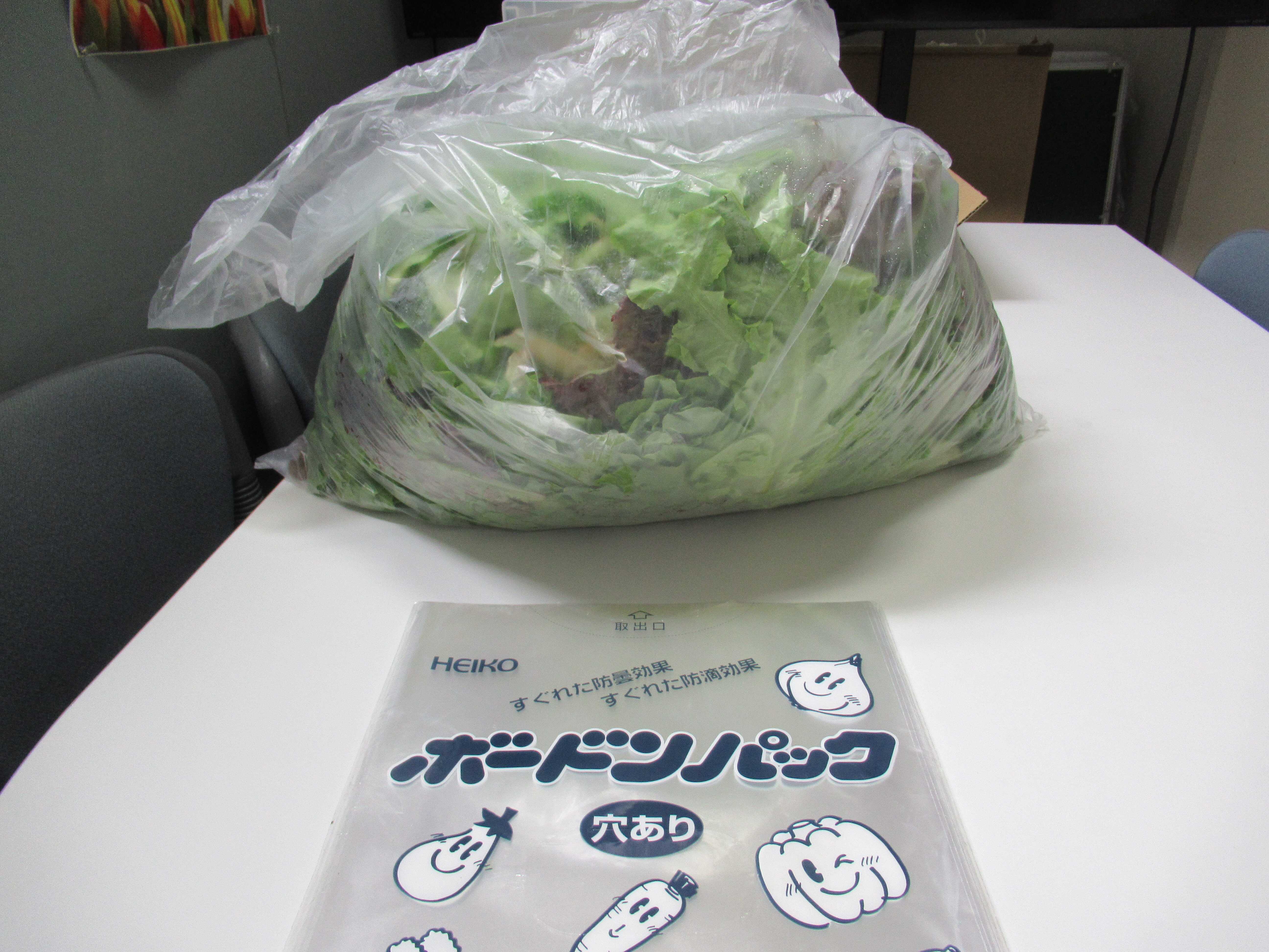 MS. Takahashi donated vegetables(Leaf Lettuce) to the international students