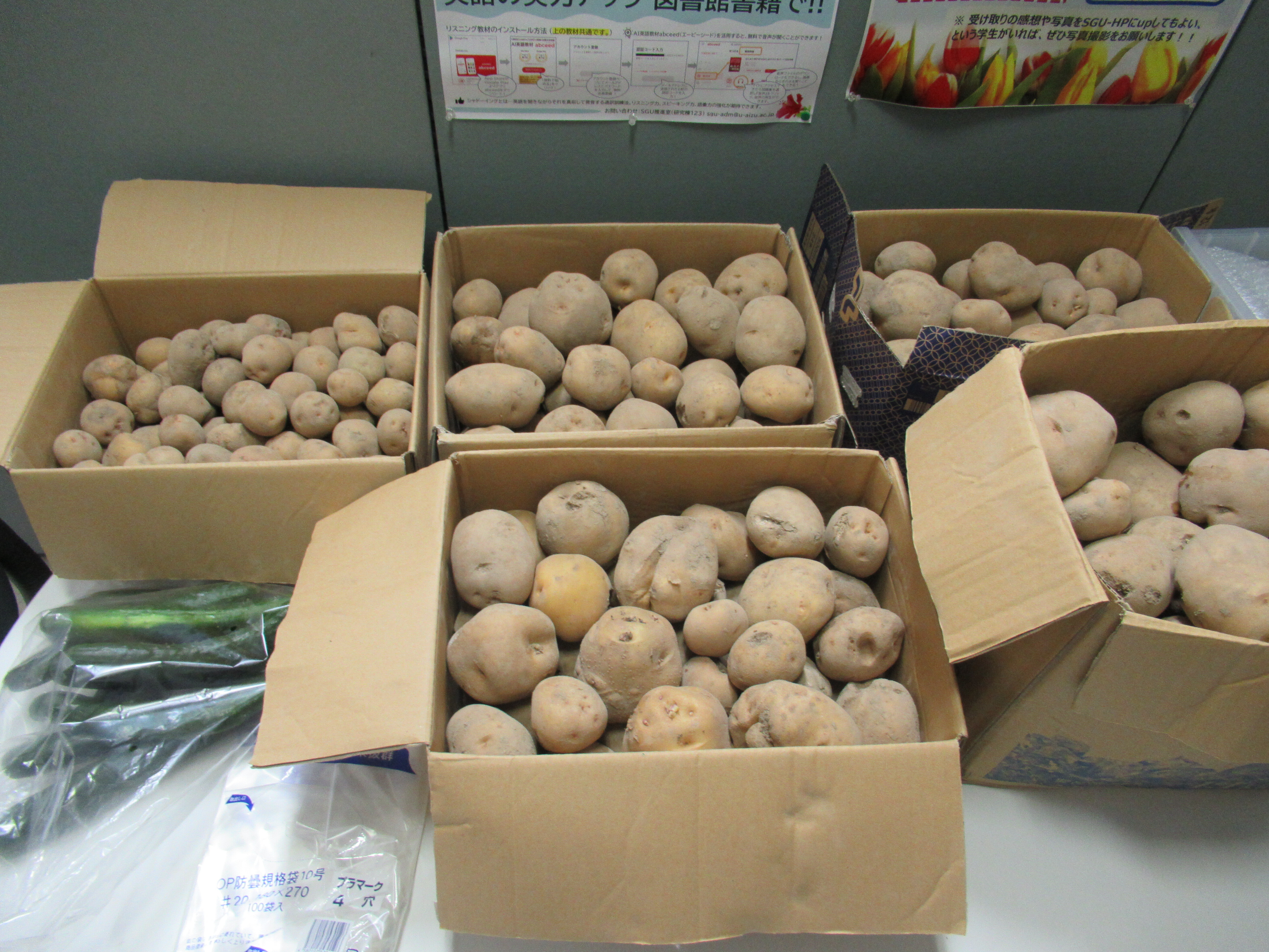 MS. Takahashi donated vegetable(Potato) to the international students
