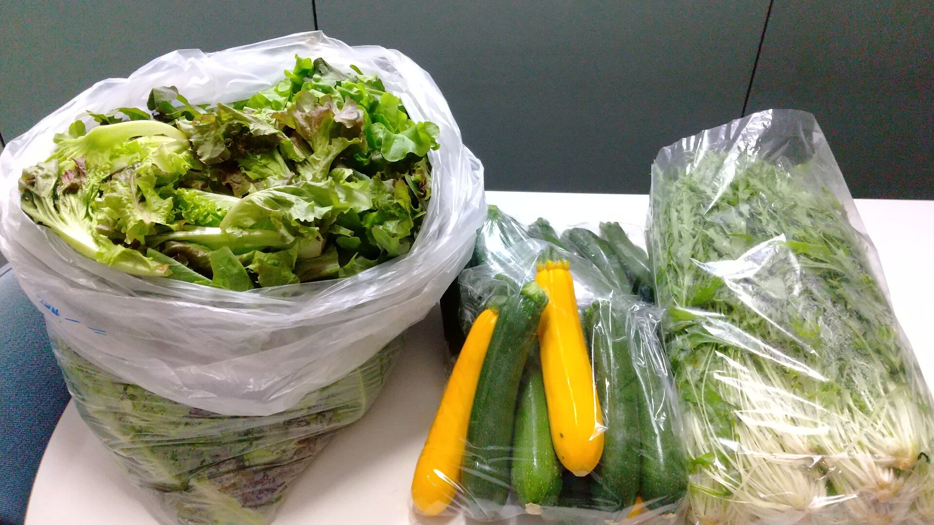 高橋様のご厚意により、会津大学留学生に新鮮な野菜が届けられました。