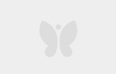 ICTグローバルプログラム P01プログラミング入門・P02プログラミングCのシラバスを公開しました