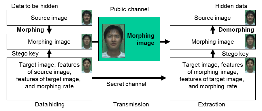 モーフィングに基づく顔画像の隠蔽技術 ～秘密情報を隠しても画像は自然～