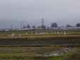 11/Hakucho-2003-11-22.jpg
