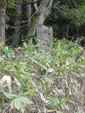 27/23yato03-2003-12-06.jpg