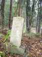 29/Ishi3-2003-12-13.jpg