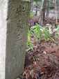 29/Ishi4-2003-12-13.jpg