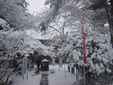 31/Snow-Wipe-2003-12-20.jpg
