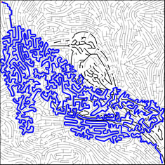 Final hybrid maze